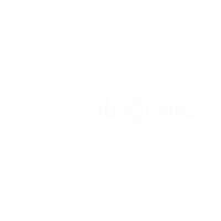 DC-Fotografie